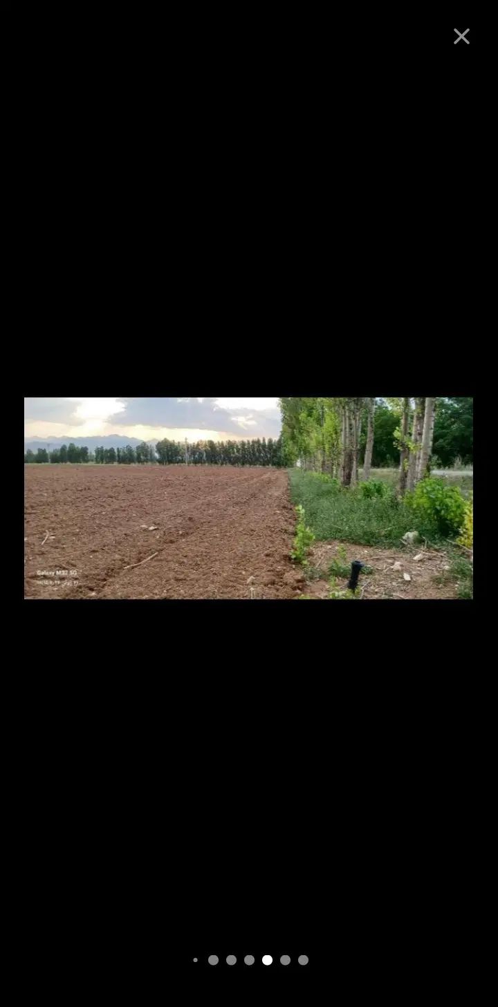 فروش۳دانگ چاه کشاورزی و خونه و مزرعه روستای تیران.|فروش دفتر صنعتی، کشاورزی، تجاری|الیگودرز, |دیوار