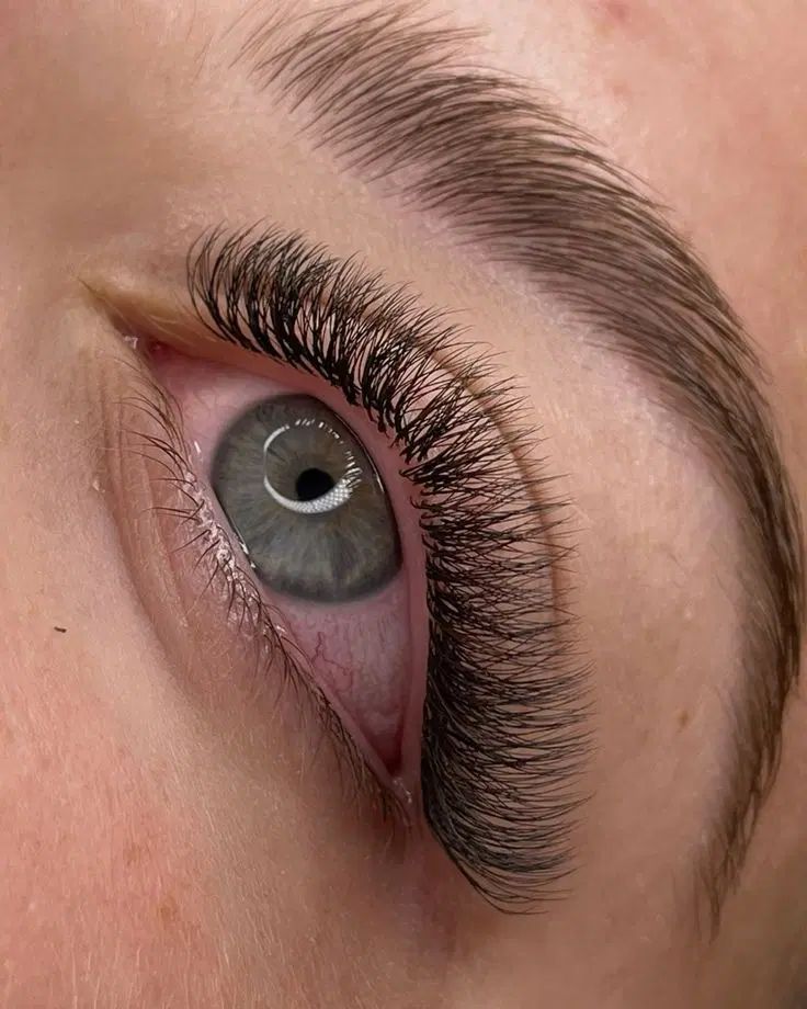 ازآموزش اکستشن مژه تا ورود به بازارکار همراه شما|خدمات آموزشی|مرند, |دیوار