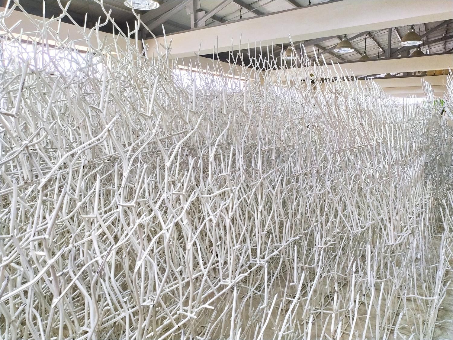 حفاظ شاخ گوزنی|مصالح و تجهیزات ساختمان|تالش, هشتپر|دیوار