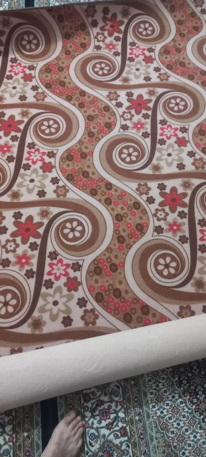 موکت|موکت|قزوین, |دیوار