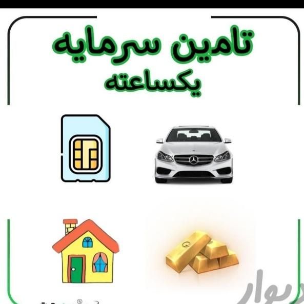 پرداخت وام و تامین سرمایه آزاد/ خودرو/ سیمکارت/طلا|استخدام مالی، حسابداری، حقوقی|تهران, جردن|دیوار