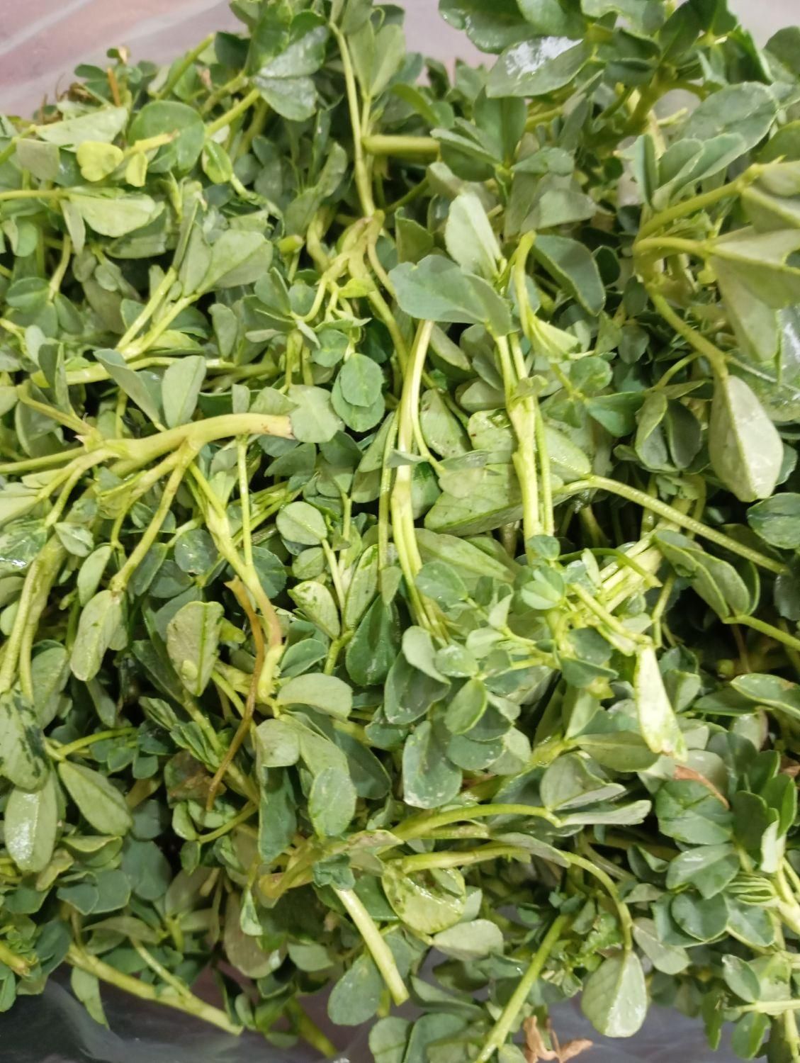 سبزی فله و ریز شده|خوردنی و آشامیدنی|مشهد, کوی دروی|دیوار