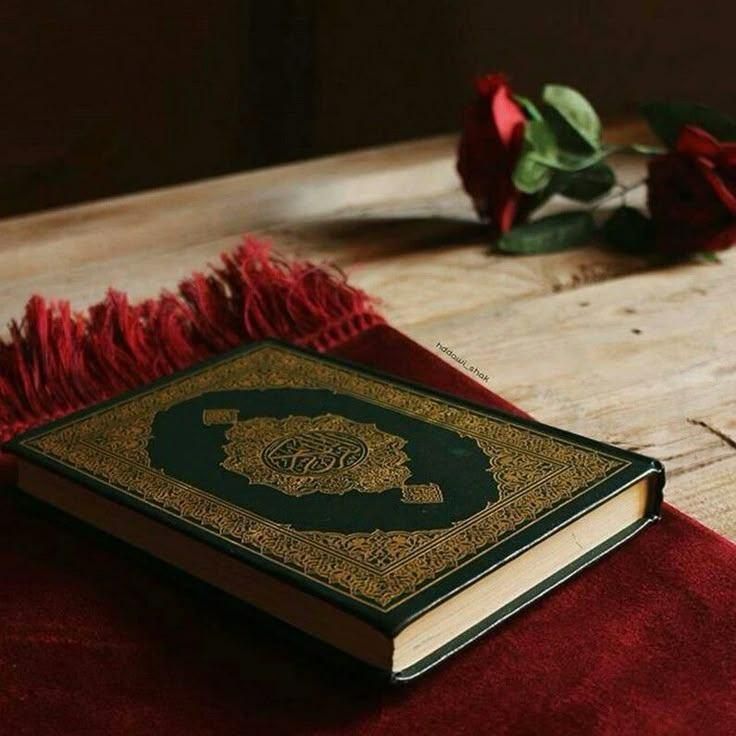 تلاوت قرآن برای آرامش روح عزیزان از دست رفته|خدمات پذیرایی، مراسم|تهران, فلسطین (میدان انقلاب)|دیوار