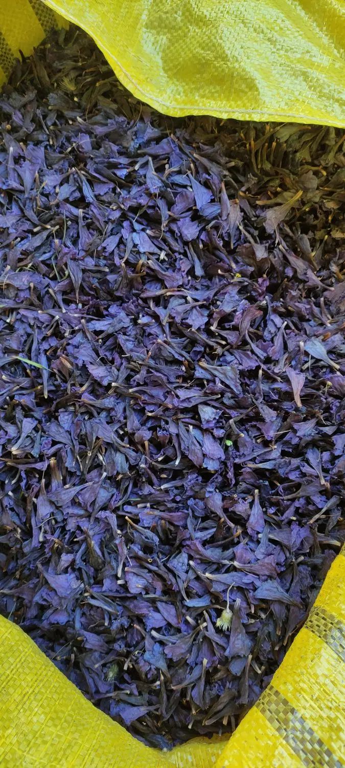 گیاهان دارویی.اعطاری.گاوزبان.بابونه.همیشه بهار|خدمات باغبانی و درختکاری|اردبیل, |دیوار