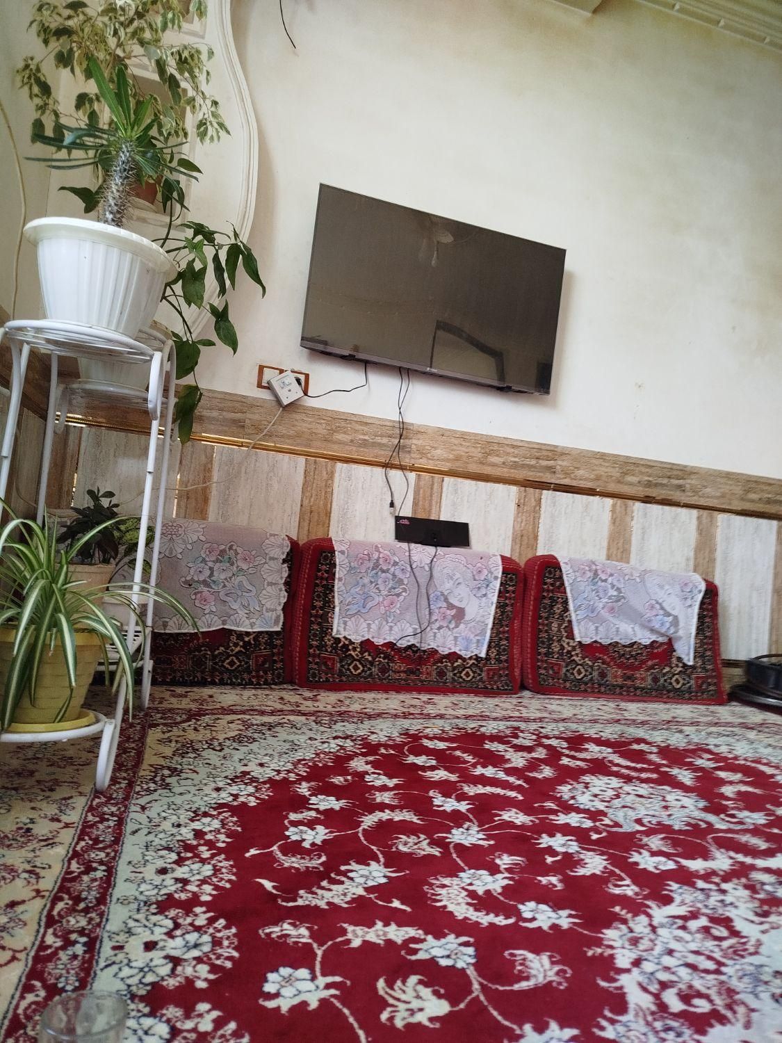 سالم|تلویزیون و پروژکتور|بردسیر, |دیوار