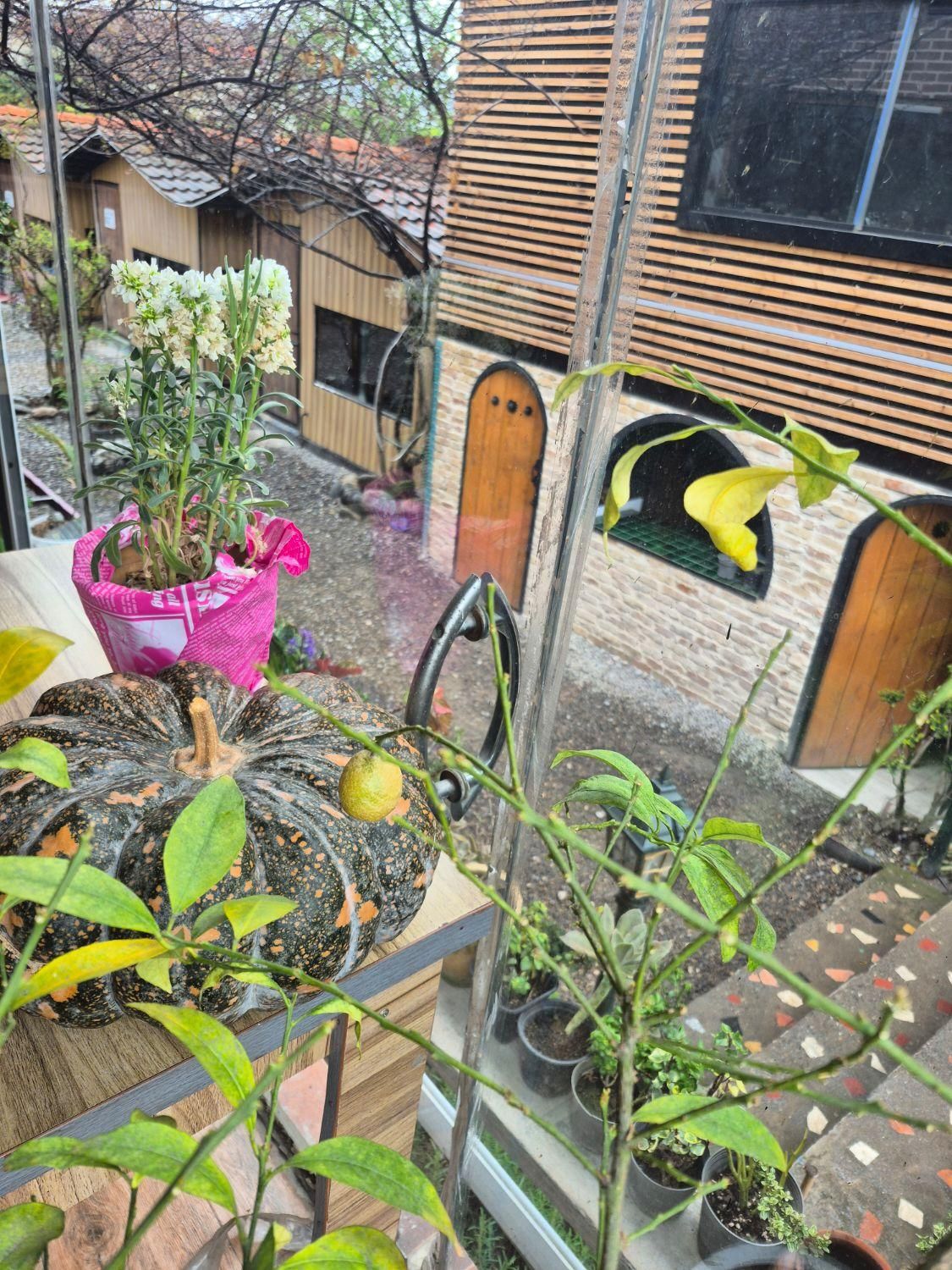 نیروی قلیون زن کافه|استخدام خدمات فروشگاه و رستوران|تنکابن, |دیوار