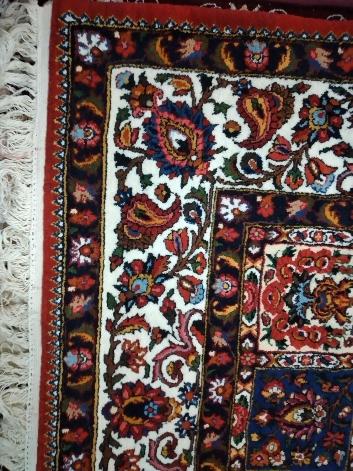 قالی دست بافت|فرش|شهرکرد, |دیوار