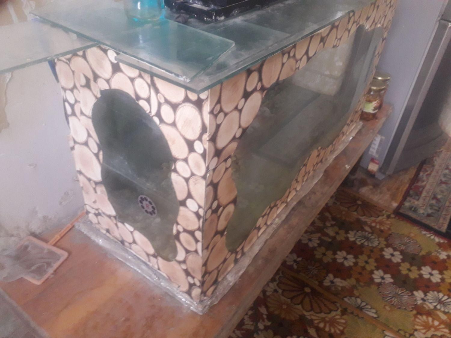 اکواریوم تزئینات و پمپ هوا|ماهی|شیراز, شهرک مفتح|دیوار