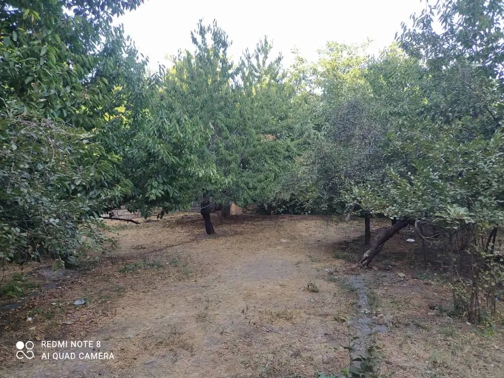 فروش زمین ۱۰۵۰ متری در طرق و ۲۱۰ متر مسکونی|فروش زمین و ملک کلنگی|مشهد, طرق|دیوار