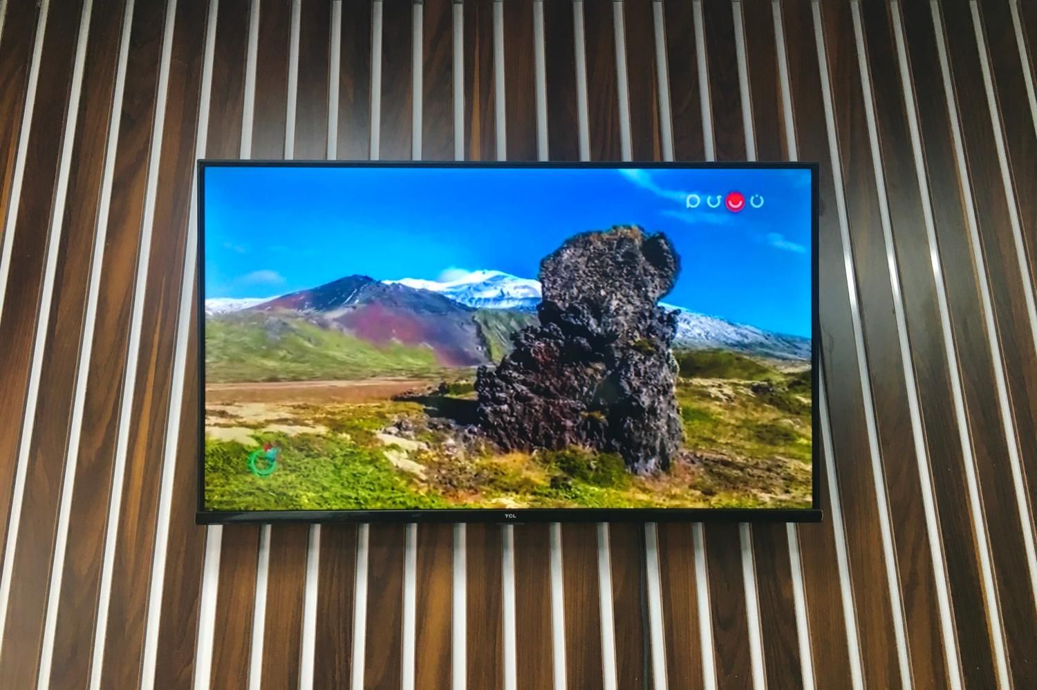 تلویزیون 43 اینچ TCL|تلویزیون و پروژکتور|لاهیجان, شقایق|دیوار