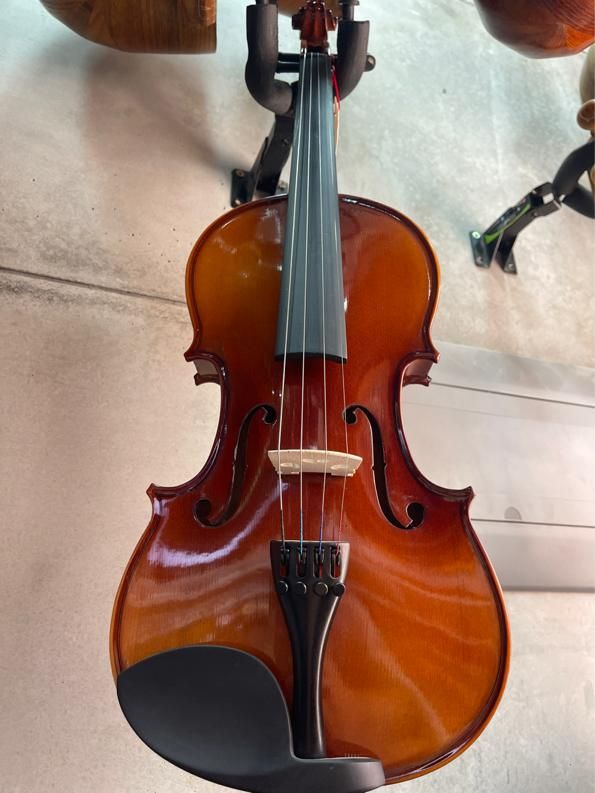 ویولن مبتدی و حرفه ای|ویولن|مبارکه, |دیوار