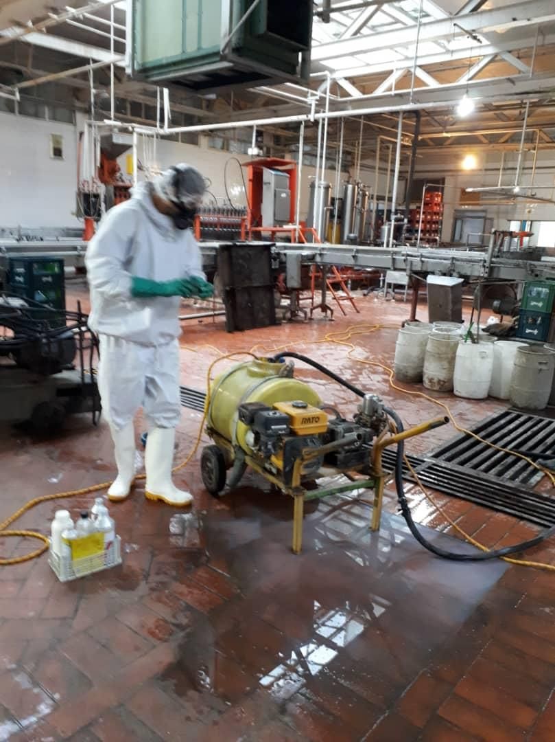 خدمات سمپاشی و ضد عفونی توسط شرکت مجوز دار|خدمات نظافت|همدان, |دیوار