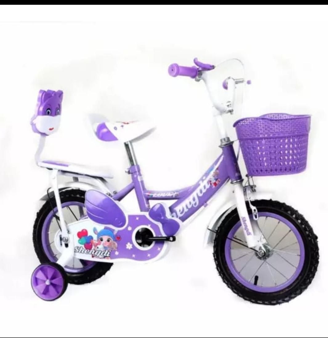 دوچرخه موتوری ومدلهای دیگر|دوچرخه، اسکیت، اسکوتر|شوش, |دیوار