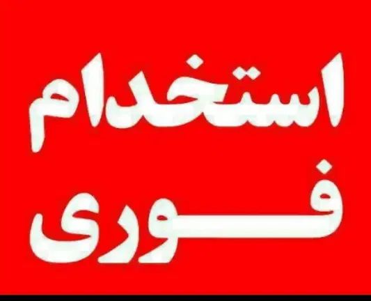 استخدام همکار خانم در تولیدی کفش|استخدام صنعتی، فنی، مهندسی|تهران, فردوسی|دیوار
