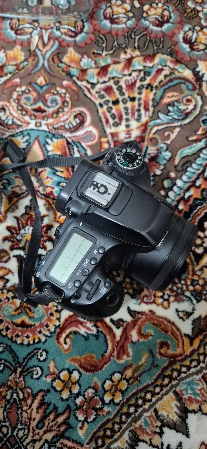 کنون 80d با ۲۴ هزار شات و دو لنز فیکس عالی|دوربین عکاسی و فیلم‌برداری|مشهد, گلبرگ شمالی|دیوار