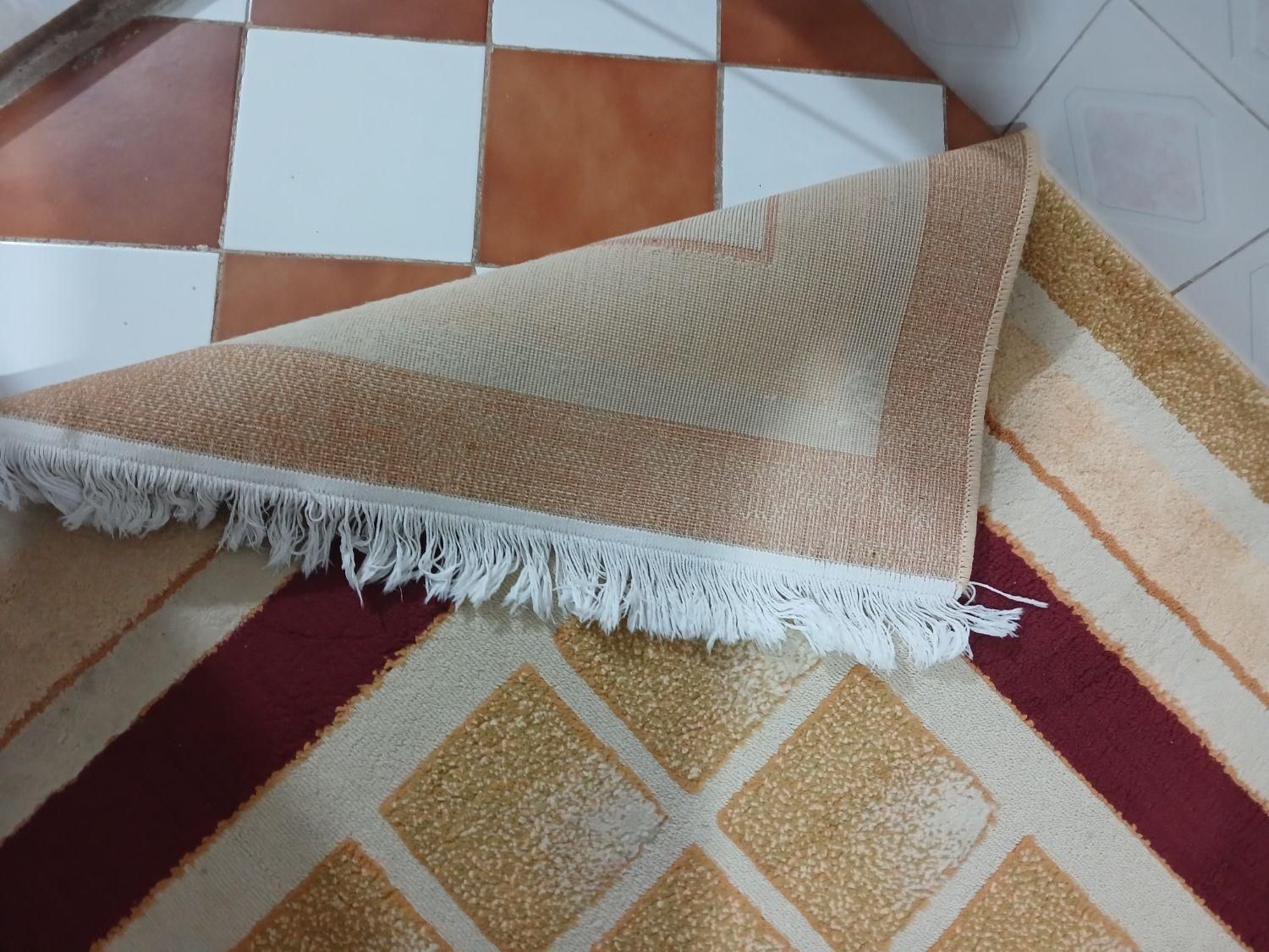 گلیم فرش|گلیم، جاجیم، گبه|شیراز, مسلم|دیوار