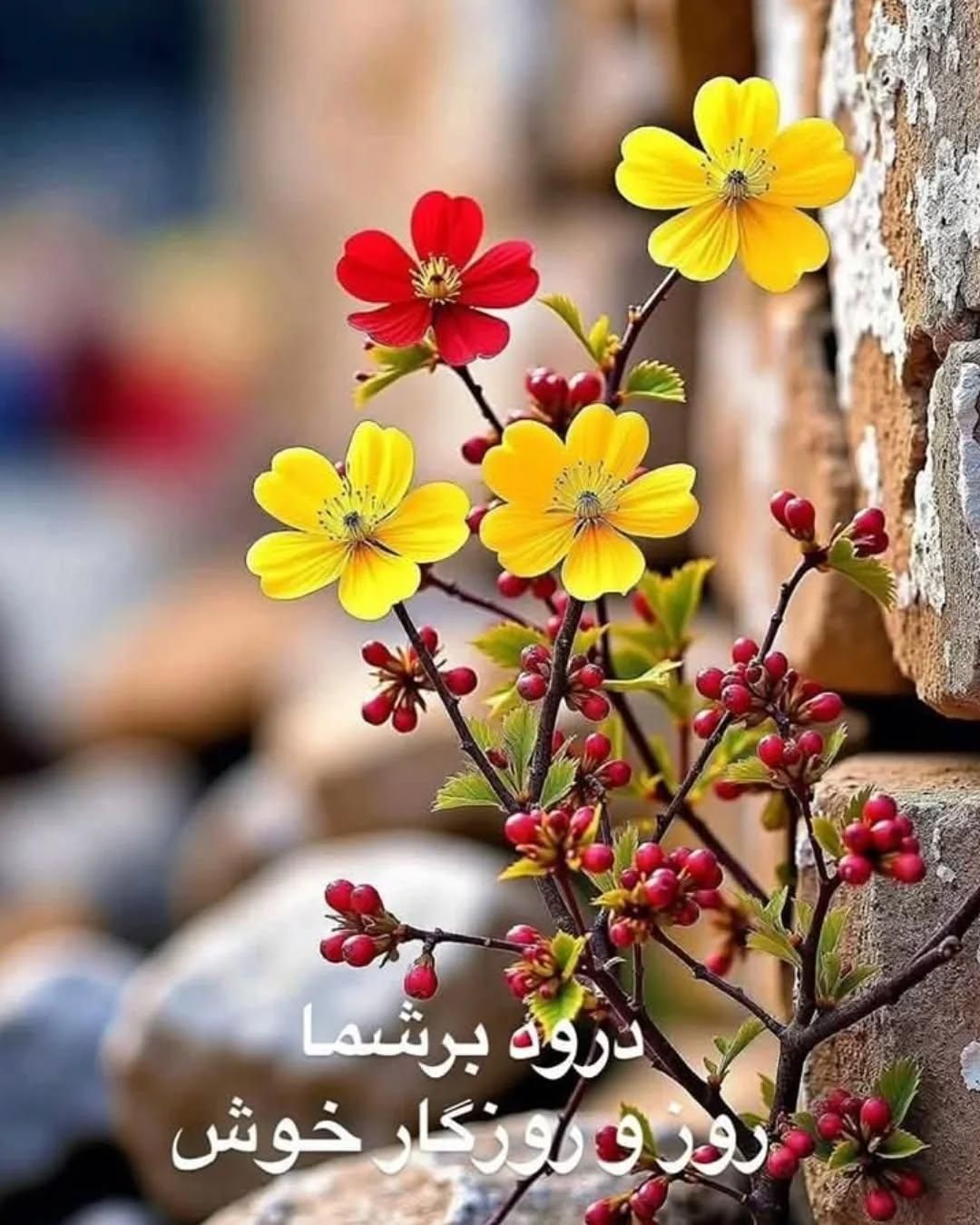 جذب سرمایه برای توسعه کارگاه صنعتی فعال|مشارکت در ساخت املاک|یزد, |دیوار