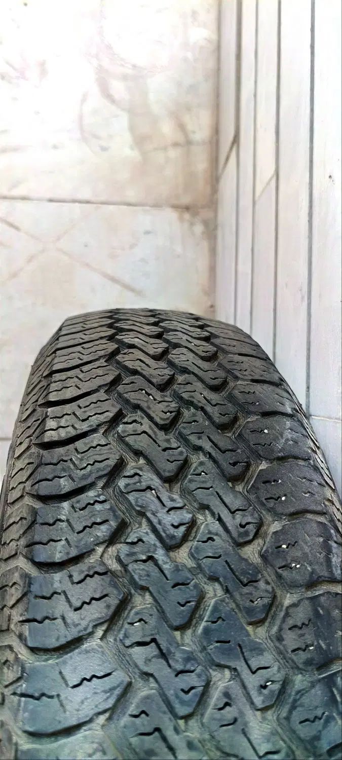 تایر 60٪ گل  سایز 155 R13|قطعات یدکی و لوازم جانبی|اصفهان, باغ زیار|دیوار