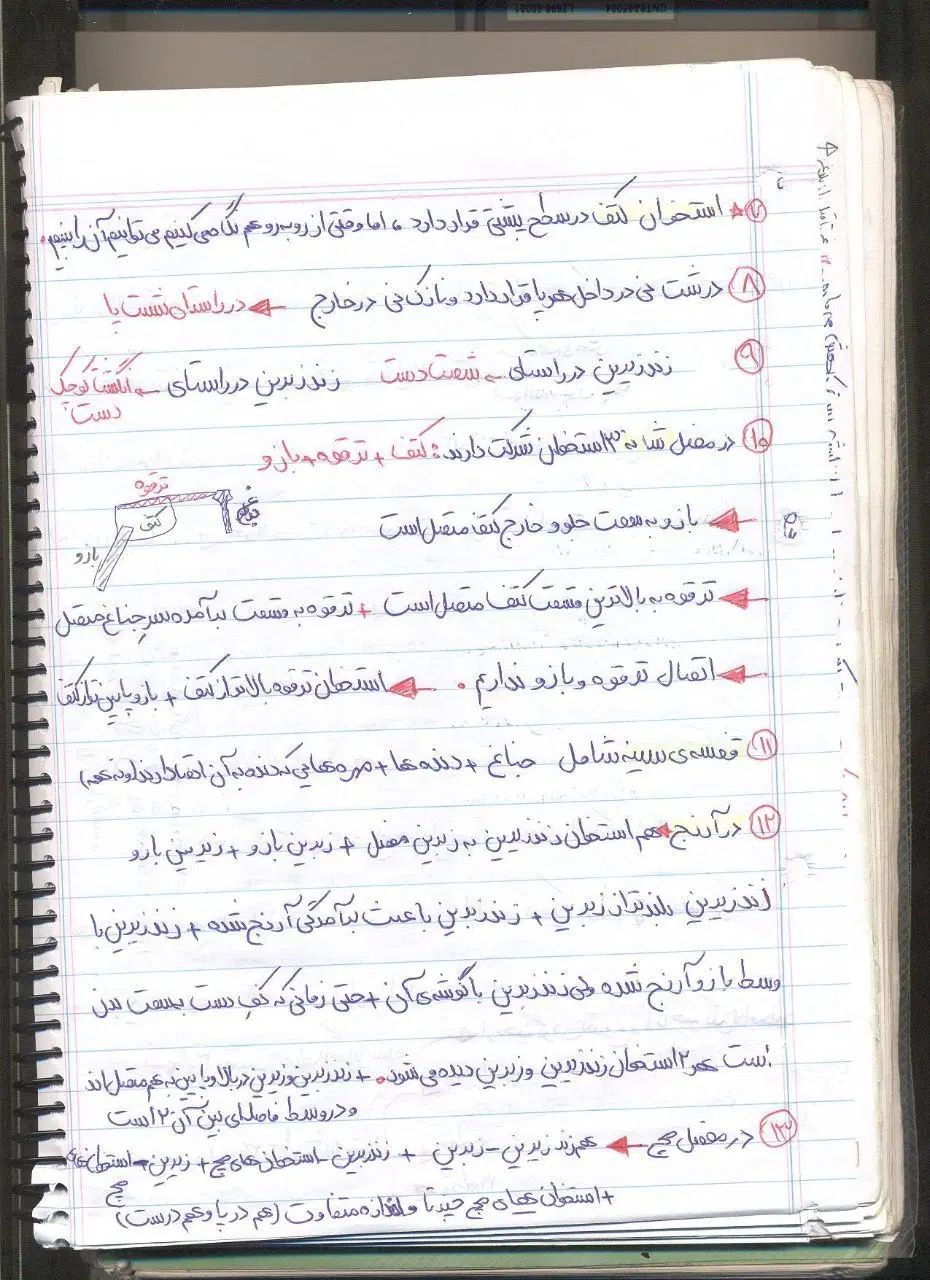 اموزش خصوصی زیست کنکور، زیست دهم یازدهم دوازدهم|خدمات آموزشی|تهران, نیروی هوایی (پیروزی)|دیوار