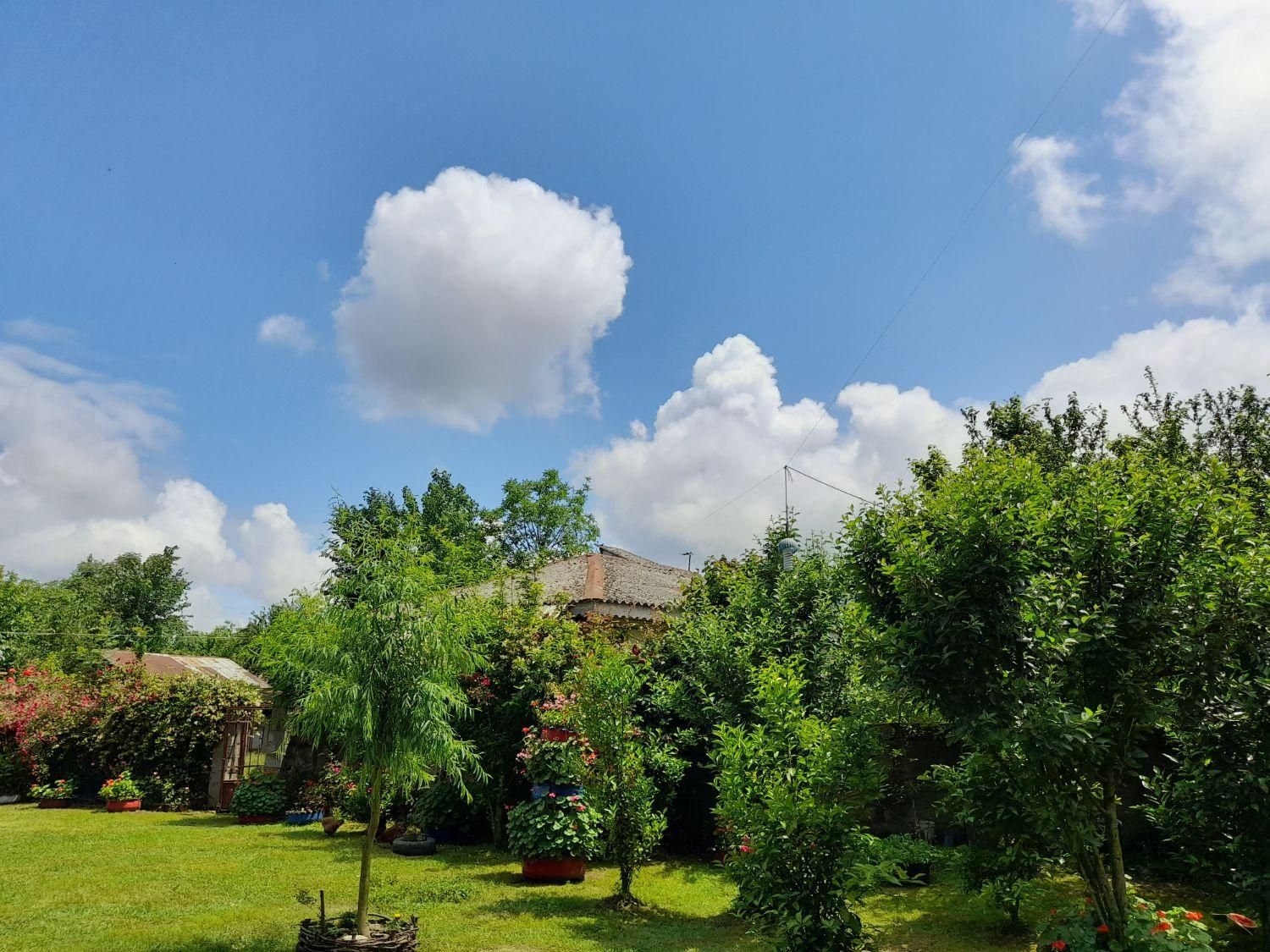 اجاره ویلا دوخوابه دربست با تمام امکانات رفاهی|اجارهٔ کوتاهمدت ویلا و باغ|ماسال, |دیوار