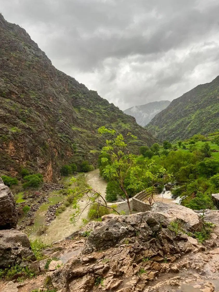 تور شمال حرکت از تهران و کرج ثبت نام محدود|تور و چارتر|کرج, گلستان|دیوار