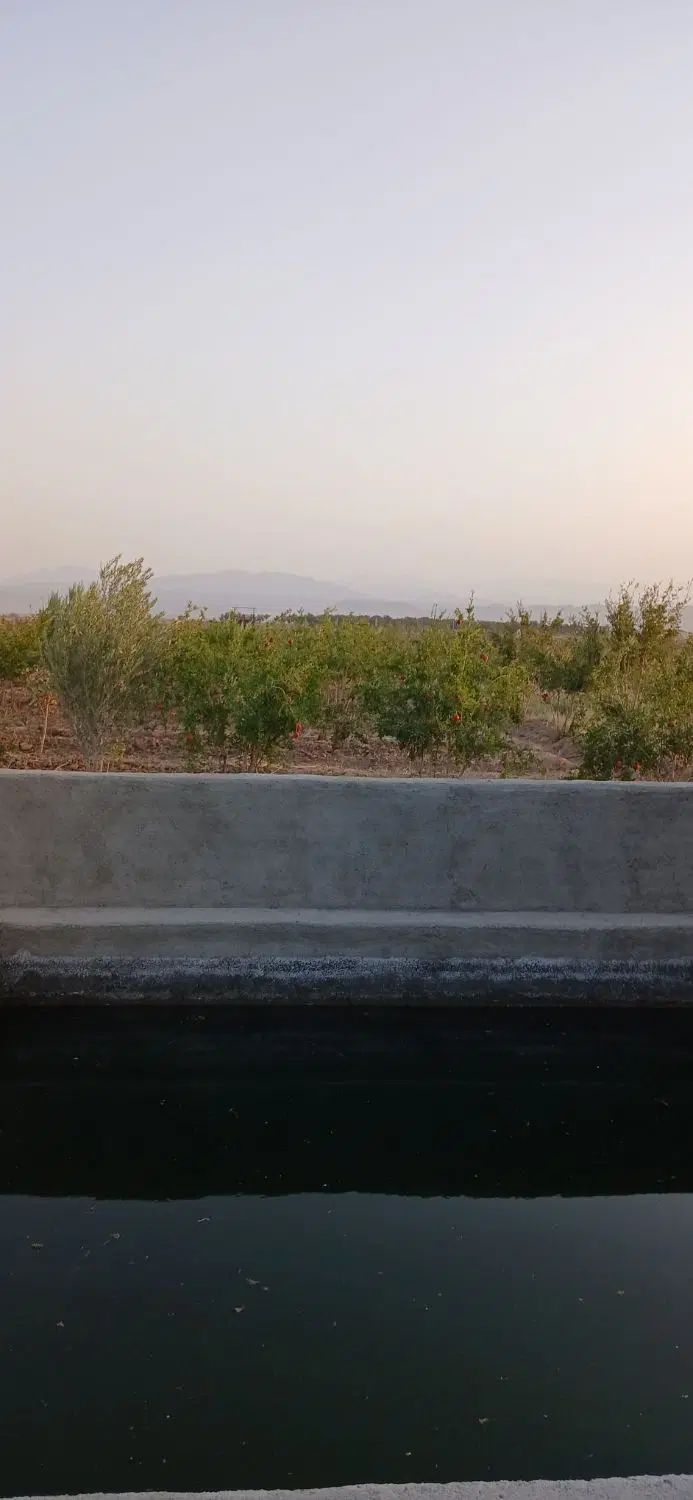 باغچه دارای درختان ۷ ساله ی بارده و استخر بزرگ|فروش خانه و ویلا|قم, انسجام|دیوار