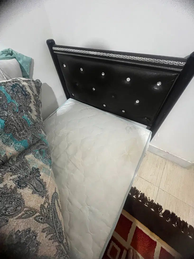 *تخت خواب،دراور،کتابخانه،کمدلباسی زیر قیمت فوری|تخت و سرویس خواب|شیراز, شهرک گلستان|دیوار