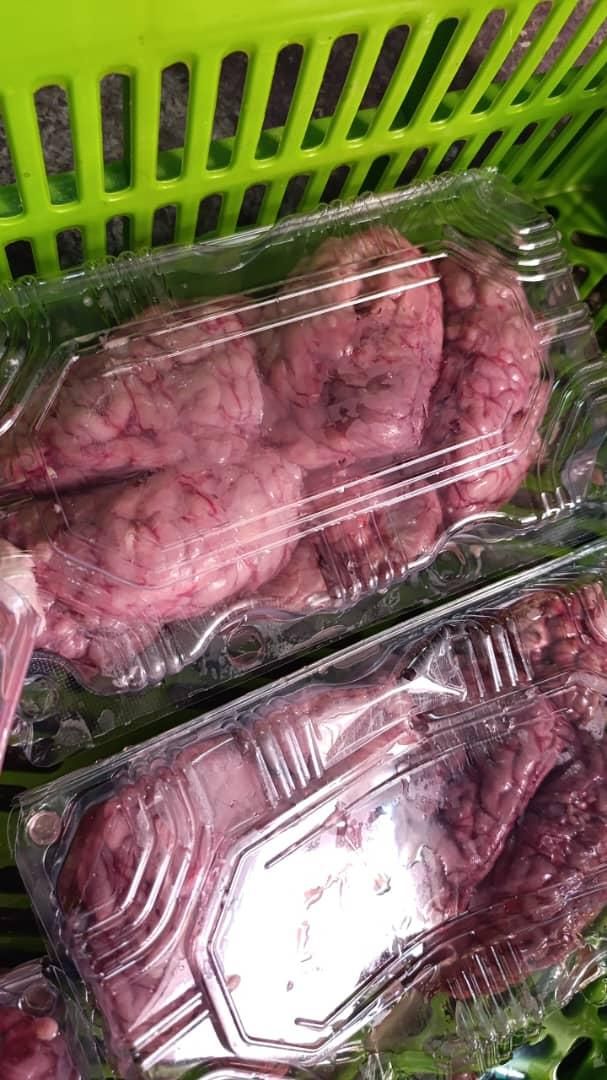 گوشت شتر مغز کوهان شیر ارگانیک شتر|خدمات پذیرایی، مراسم|رباط‌کریم, |دیوار