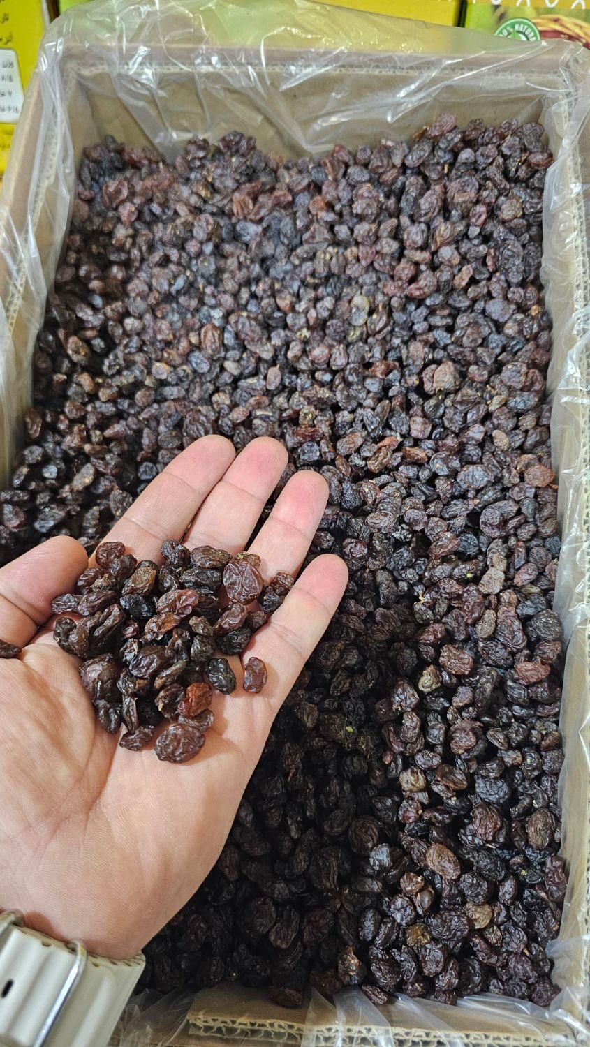 کشمش ابگیری مرکزی اقتپه|خوردنی و آشامیدنی|کرج, احدآباد|دیوار