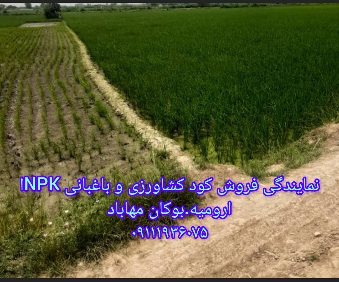 کود آلی گرانوله|گل و گیاه طبیعی|بوکان, |دیوار