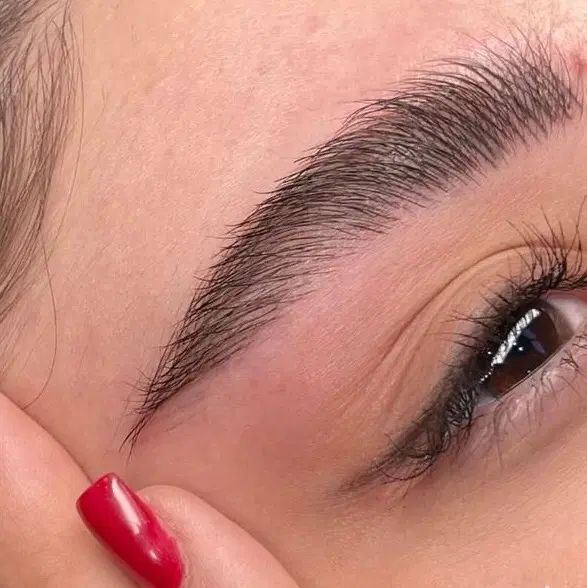 نیازمند مدل عکاسی میکرو ابرو و بن مژه چشم|خدمات آرایشگری و زیبایی|شیراز, باغ تخت|دیوار
