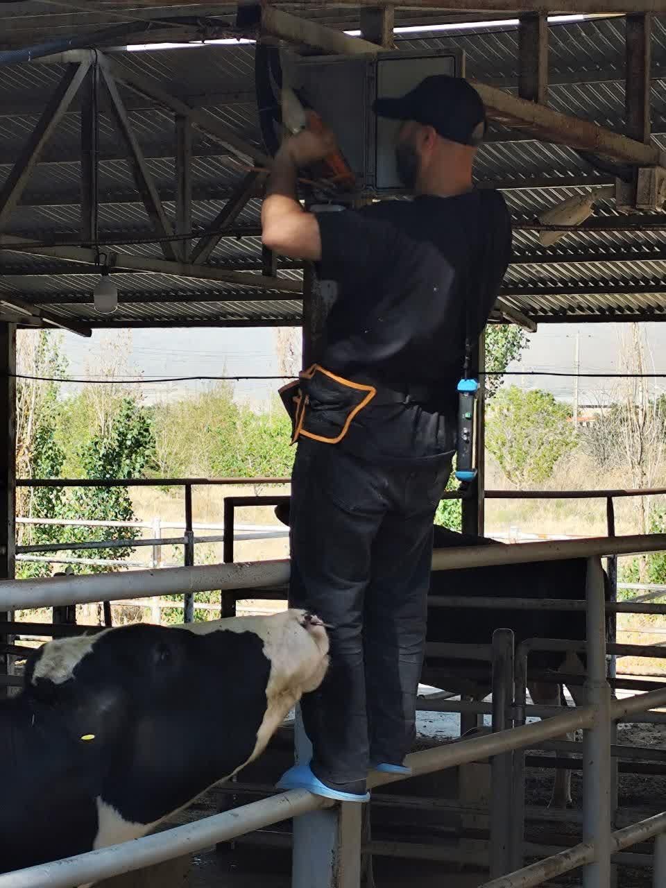 نصب دوربین و دزدگیر حرفهای در کرج|خدمات پیشه و مهارت|فردیس, داوری|دیوار