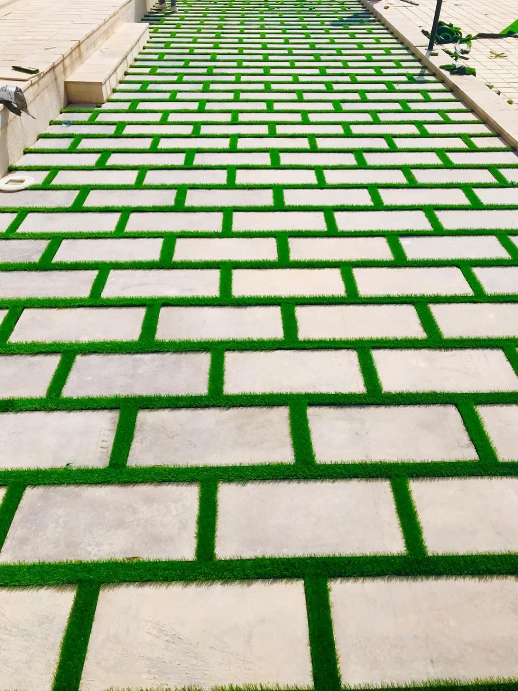 چمن مصنوعی هلندی عمده|خدمات باغبانی و درختکاری|شیراز, شهرک گلستان|دیوار
