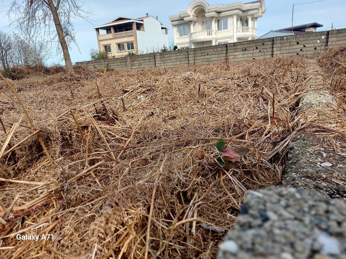 ۲۵۸ متر سندتکبرگ کاربری مسکونی مجوز ۵طبقه|فروش زمین و ملک کلنگی|واجارگاه, |دیوار