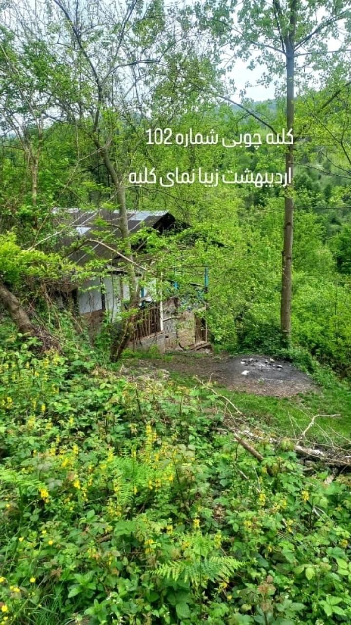 اجاره کلبه جنگلی|اجارهٔ کوتاه‌مدت ویلا و باغ|گلوگاه بابل (گلیا), |دیوار