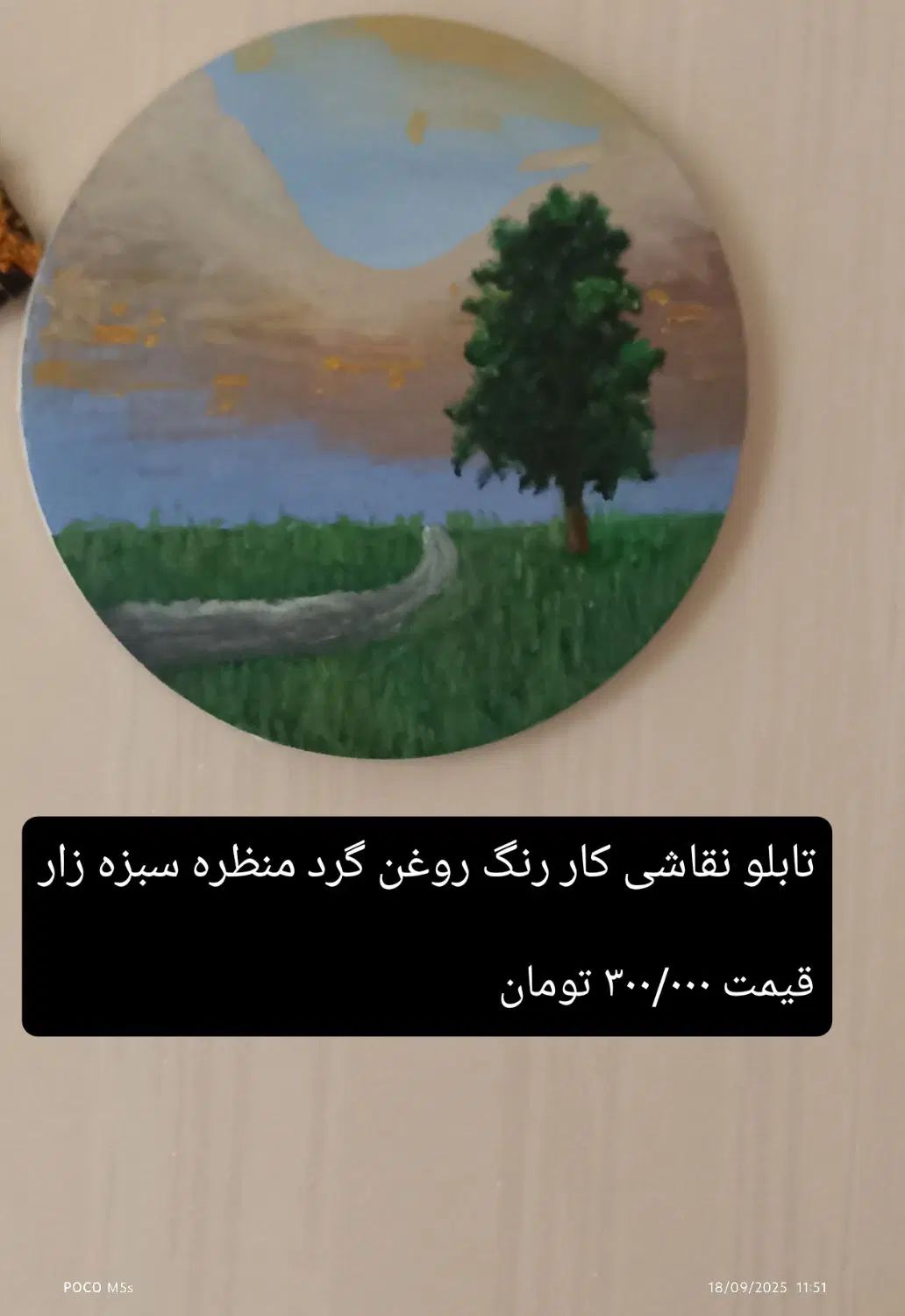 تعدادی تابلو نقاشی کار رنگ روغن|تابلو، نقاشی، عکس|تهران, تولید دارو|دیوار