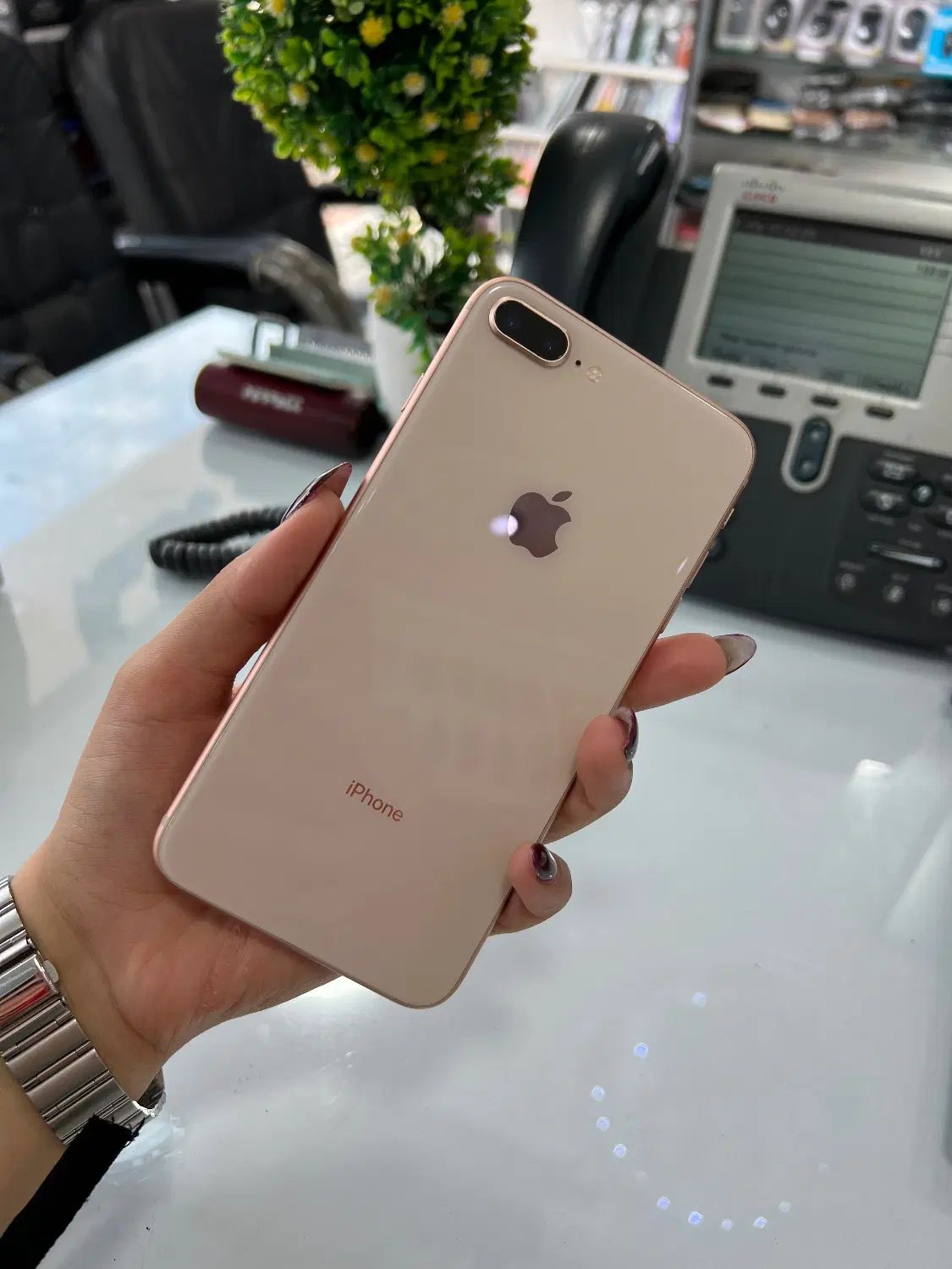 iPhone 8 plus|موبایل|رشت, حاجی آباد|دیوار