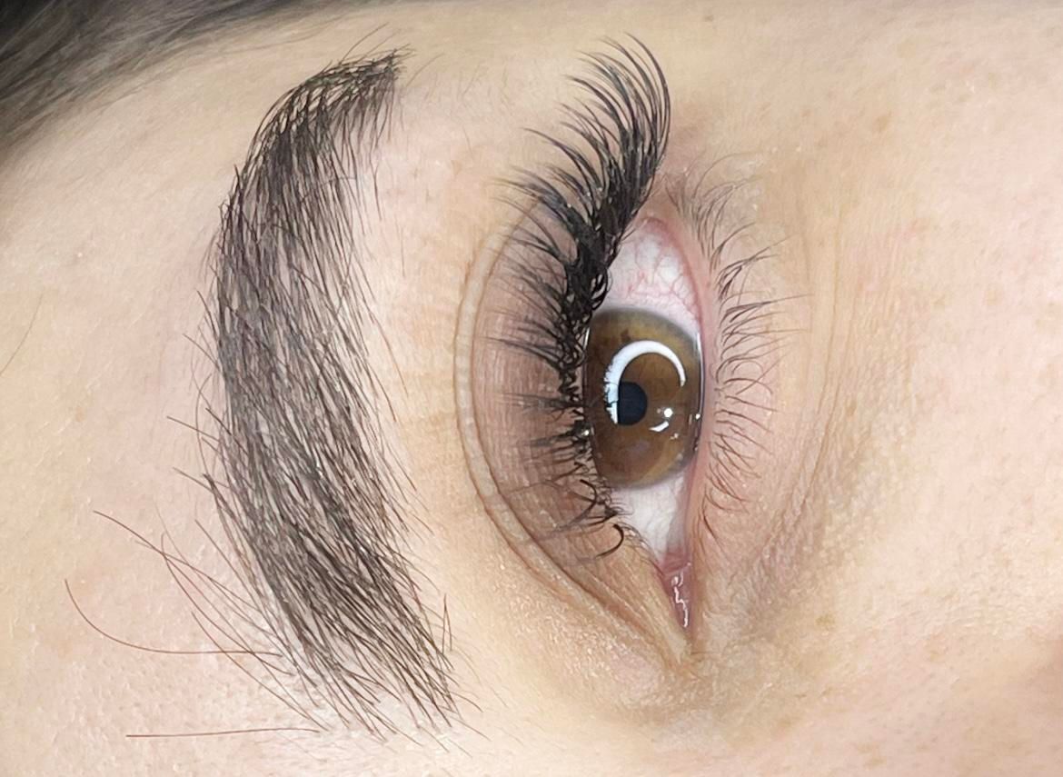 اکستنشن مژه ولیفت و لمینت مژه|خدمات آرایشگری و زیبایی|شیراز, میانرود|دیوار