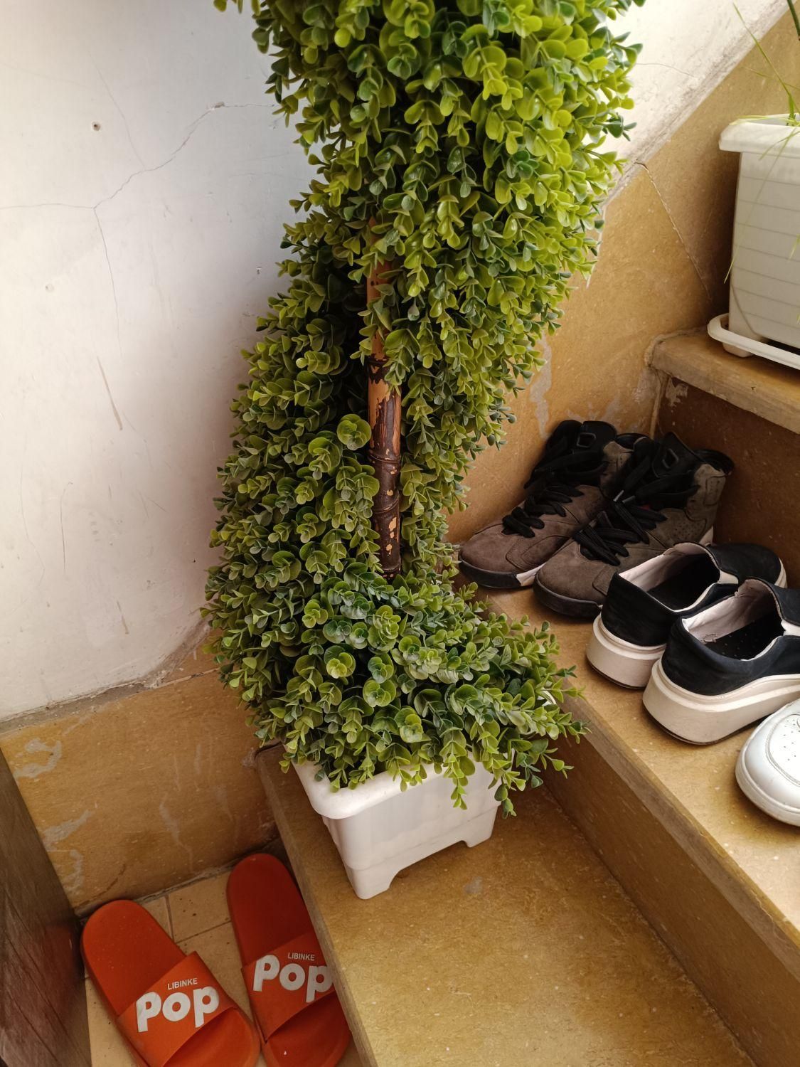 گل زیبــا|گل مصنوعی|کوهدشت, |دیوار