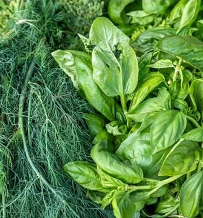 سبزی قورمه معطر وخوشمزه|خوردنی و آشامیدنی|کرج, پیشاهنگی|دیوار