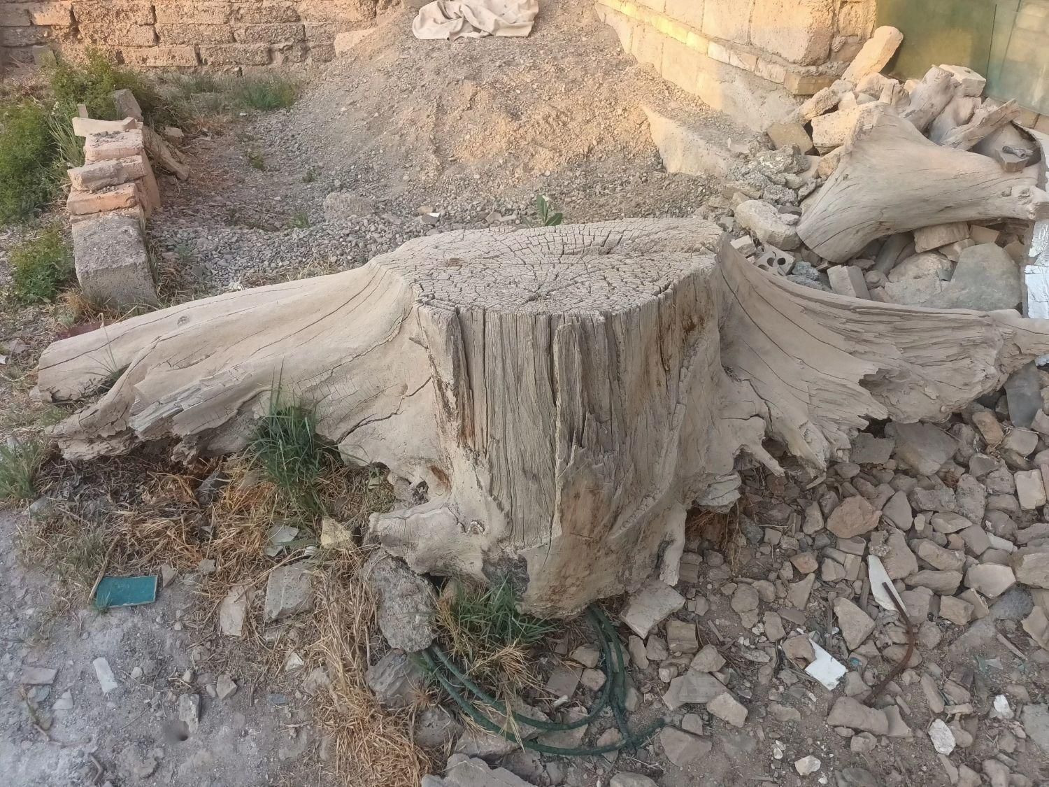 کنده درخت|مجسمه، تندیس، ماکت|اصفهان, ردان|دیوار