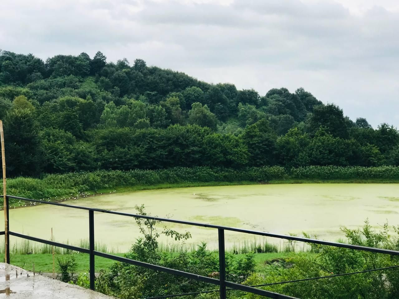 اجاره سوئیت جنگلی|اجارهٔ کوتاه‌مدت آپارتمان و سوئیت|لاهیجان, آهندان|دیوار