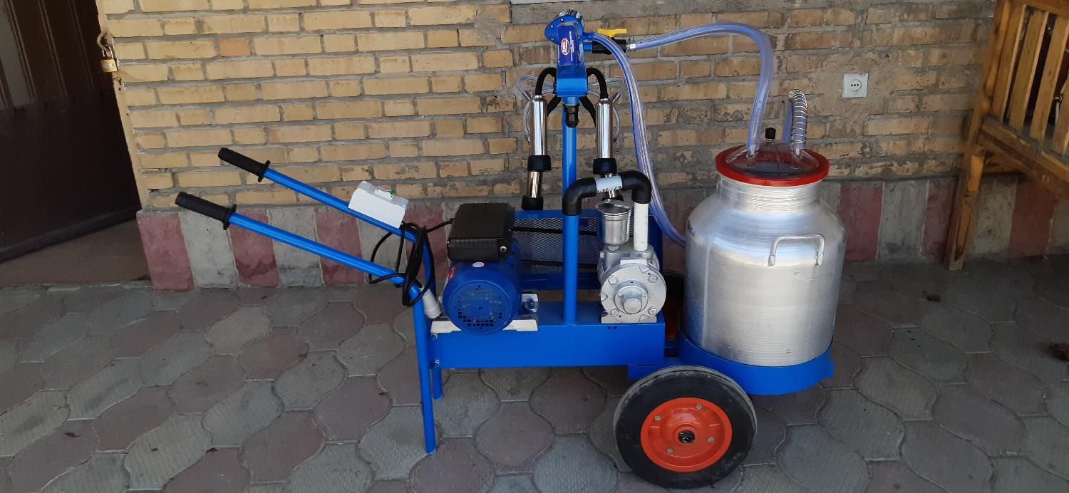 بزدوش و گاو و گوسفند و شیردوش|لوازم جانبی حیوانات|یزد, |دیوار