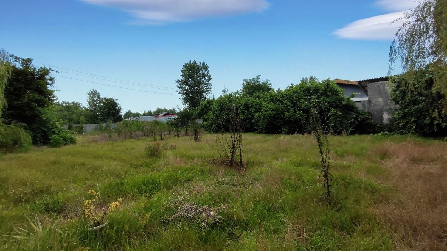 زمین مسکونی به مساحت ۷۸۰ متر ابتدای جاده فومن|فروش زمین و ملک کلنگی|رشت, پسیخان|دیوار