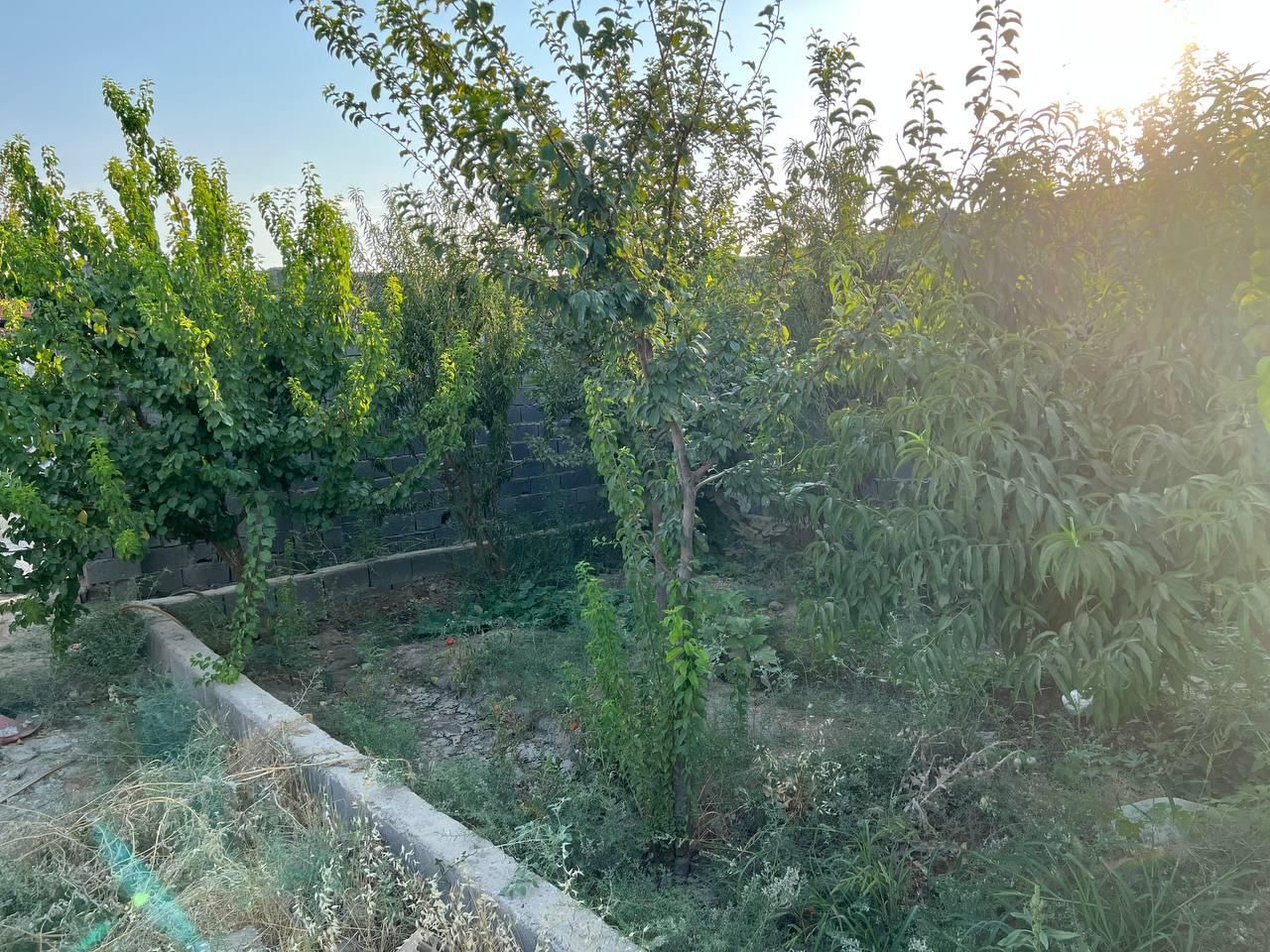 فروش زمین چهاردیواری ۷۰۰ متری نیمه کاره|فروش زمین و ملک کلنگی|رباط‌کریم, وهن آباد|دیوار