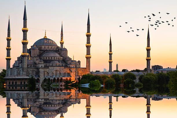 بلیط زمینی استانبول همه روزه|بلیت اتوبوس، مترو، قطار|تهران, پونک|دیوار