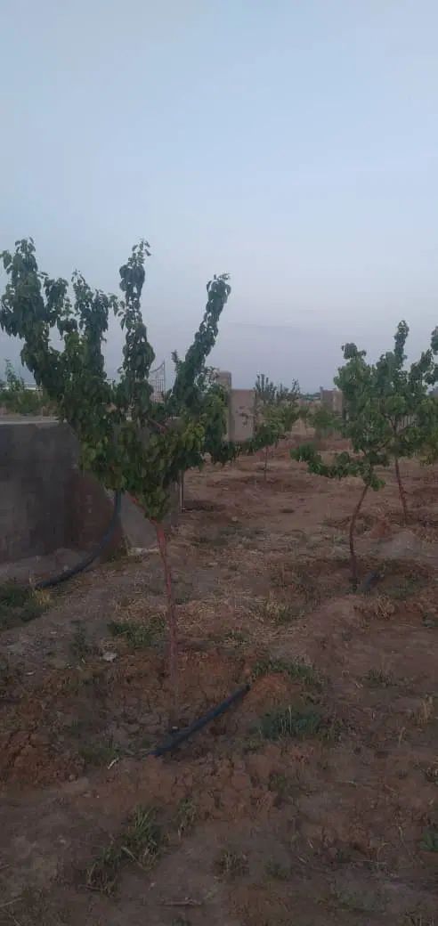 فروش زمین ۱۵۰۰ متری درنظرآباد|فروش زمین و ملک کلنگی|کرج, گلشهر|دیوار