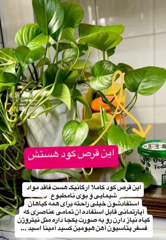 قرص کود ارگانیک|گل و گیاه طبیعی|تهران, باغ فردوس|دیوار