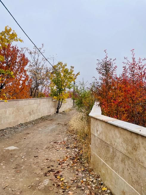 فروش زمین،بهترین موقعیت فشند،عالی چنار|فروش زمین و ملک کلنگی|هشتگرد, فشند|دیوار