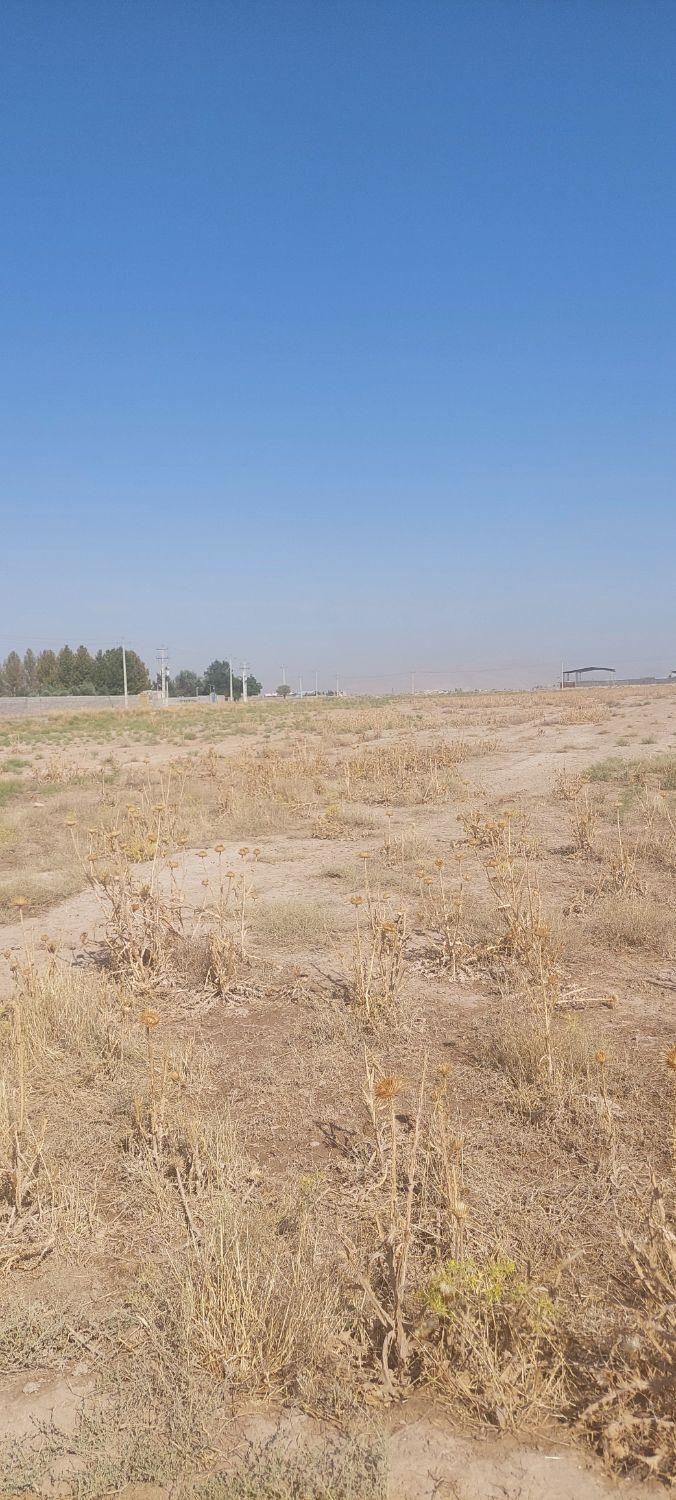 زمین کارخانه گلخانه دامداری مرغداری انبار مرغ|فروش دفتر صنعتی، کشاورزی، تجاری|مرودشت, ثبت احوال|دیوار